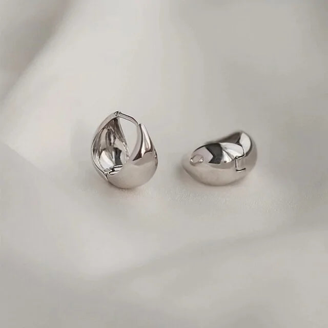 Hoop Earrings - My Store