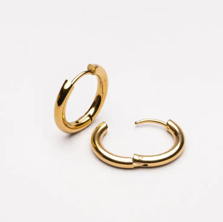 Lucia earrings - My Store