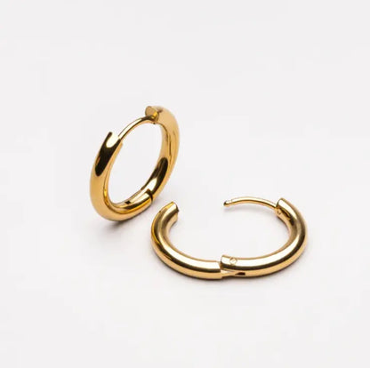 Lucia earrings - My Store
